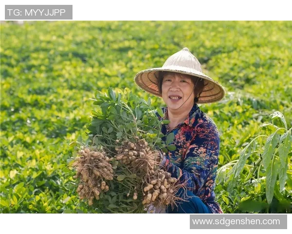 果园中的四季变换与农事活动：从春种到冬藏的自然与人文探索